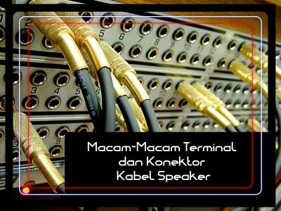 Macam-Macam Terminal dan Konektor Kabel Speaker