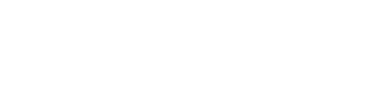 D’Audio Specialist Design Speaker Jakarta